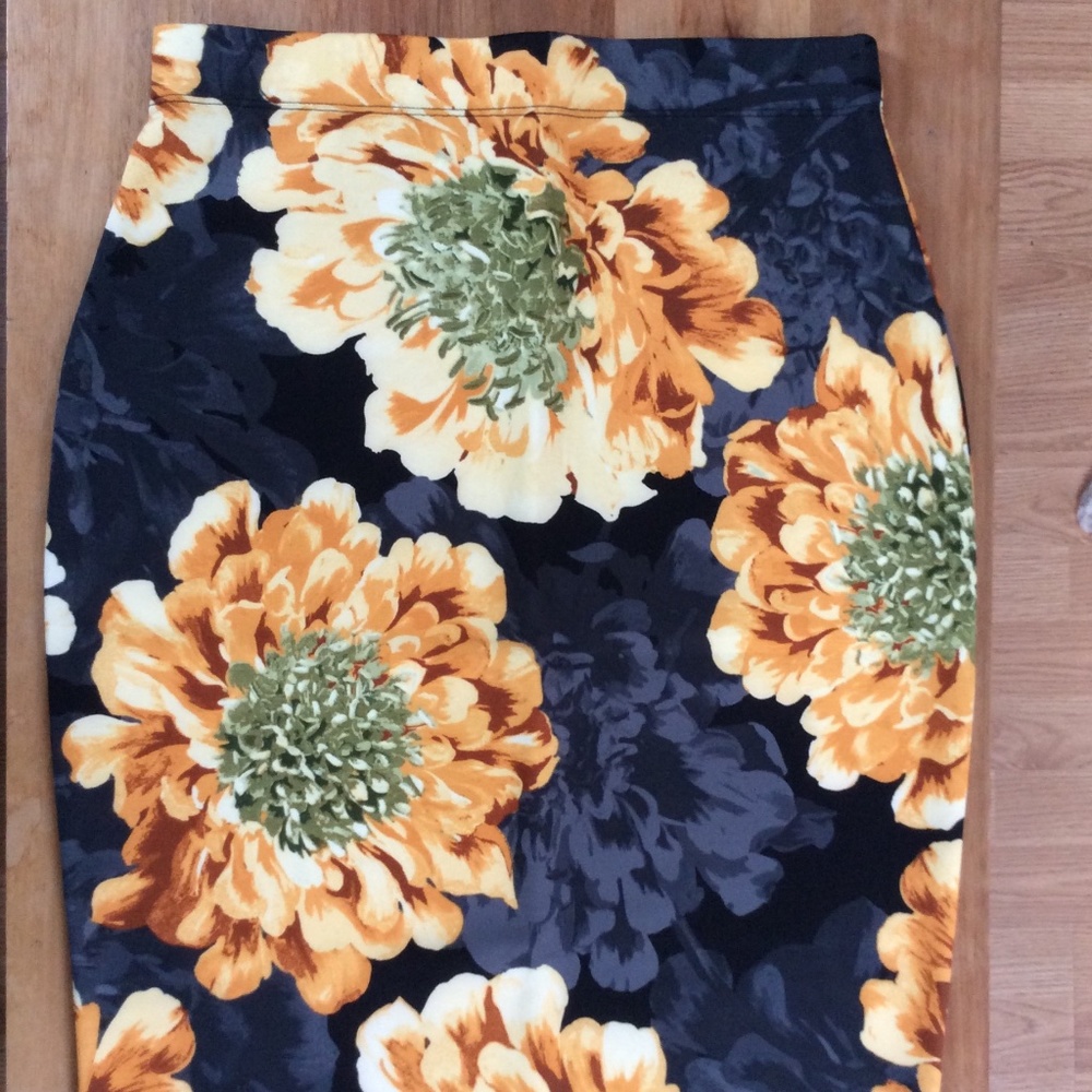 women's pull on pence skirt